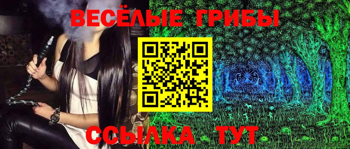 Верхний Уфалей  Псилоцибиновые грибы Psilocybe  Галлюциногенные грибы Psilocybe  Вход с VPN 