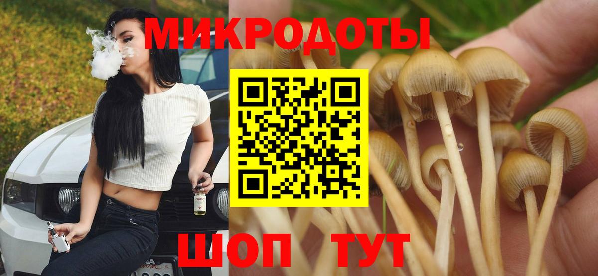 Псилоцибиновые грибы прущие грибы Верхний Уфалей